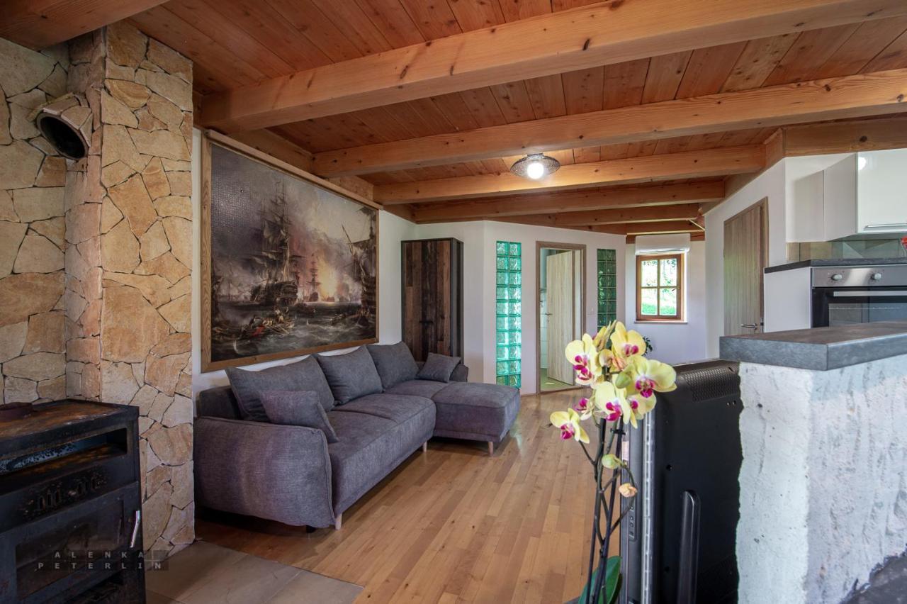 Apartment Zidan'ca Rosel Dolenjske Toplice