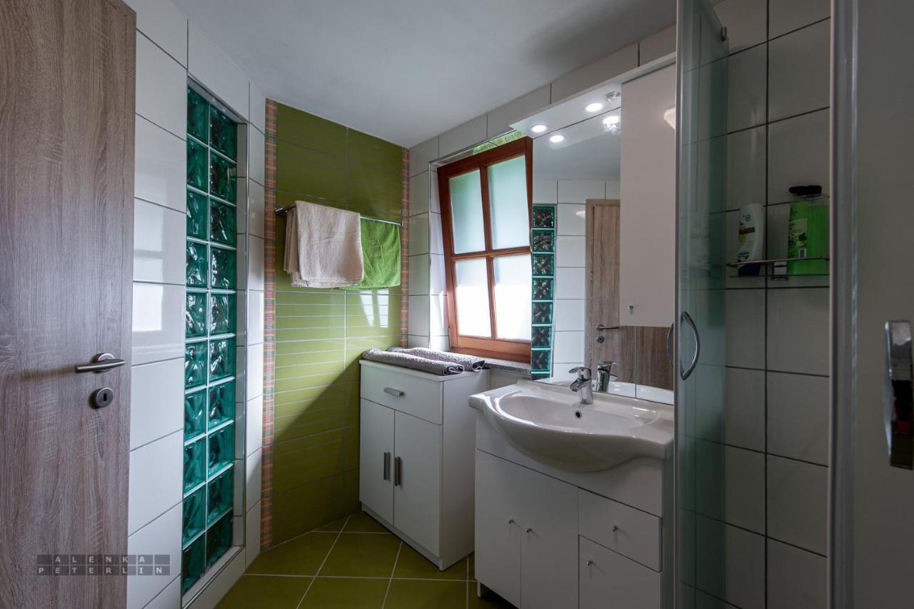 Apartment Zidan'ca Rosel Dolenjske Toplice