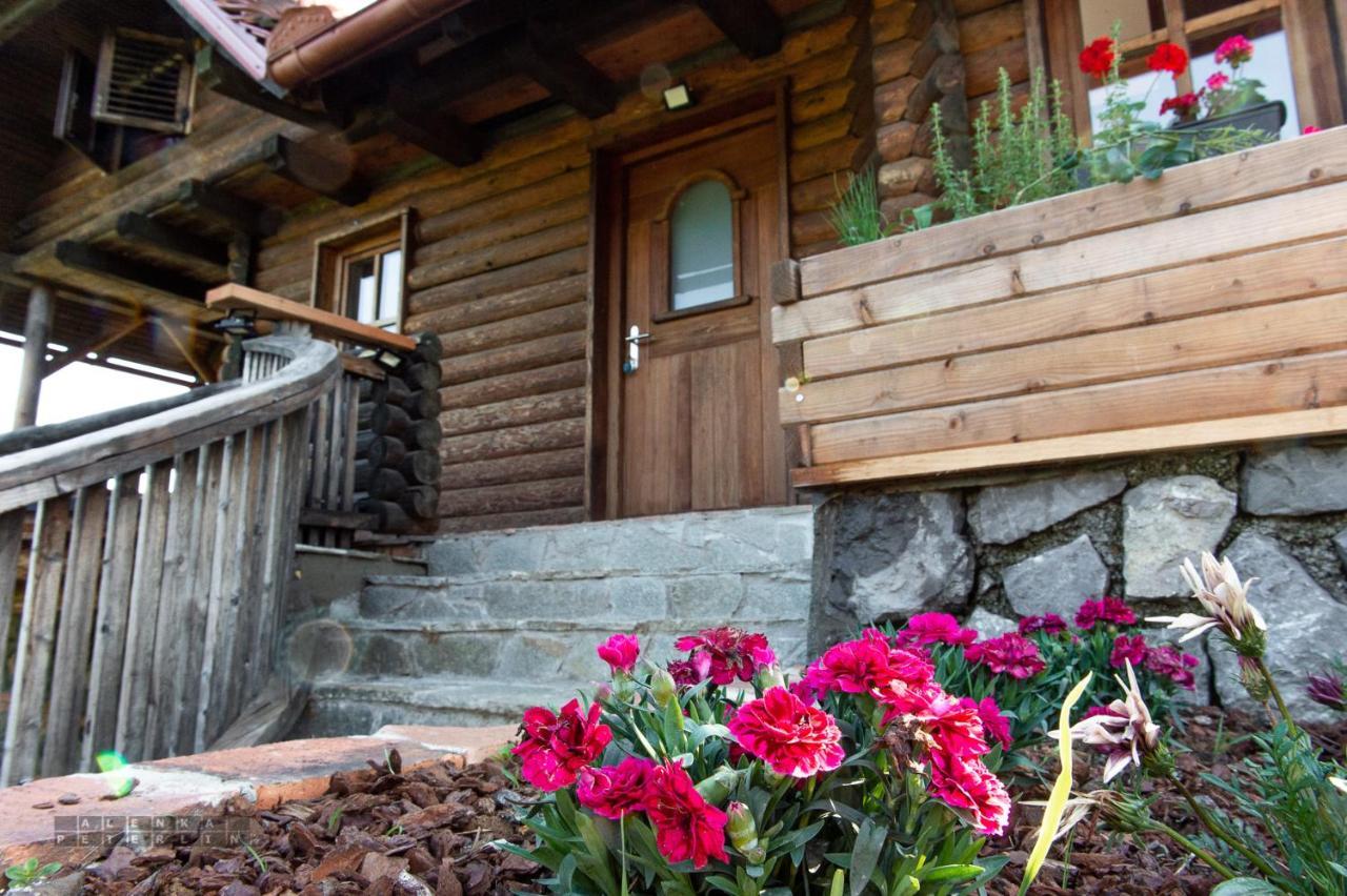 Apartment Zidan'ca Rosel Dolenjske Toplice