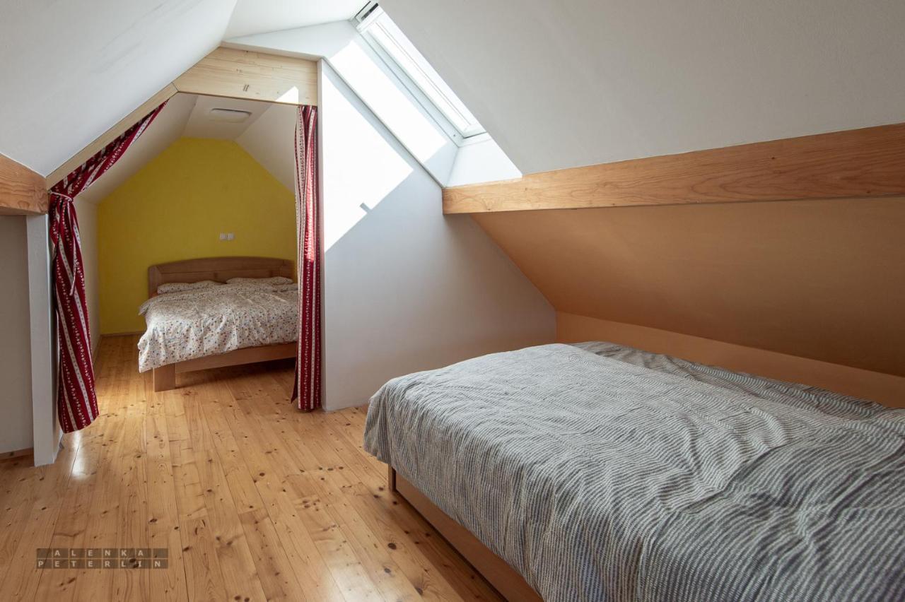 Apartment Zidan'ca Rosel
